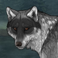 Wolf Headshot