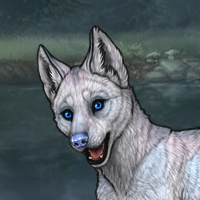 New Puppygen4 opal Headshot