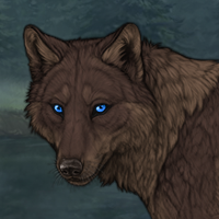 ShadowWood Headshot