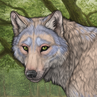 Lichen Headshot
