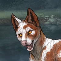 Uneven Piebald Headshot