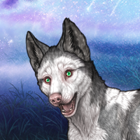 Piebald Frontal Headshot