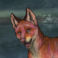 Fox Hound Headshot