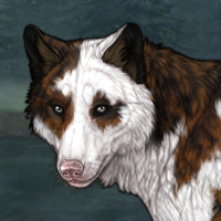 Zangar dog Headshot