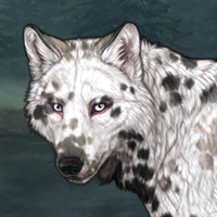 Dalmatian Headshot