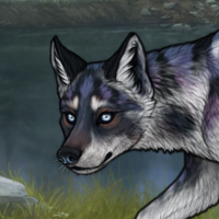 Blueschist Husky Sell Headshot