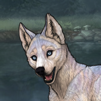 husky argent Headshot