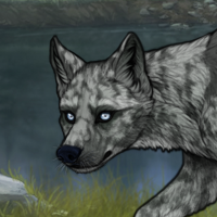 diopside husky orca mer;e Headshot