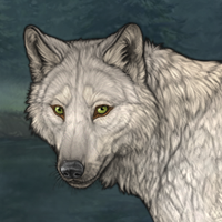 Tundra Headshot