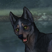 Blueschist Headshot