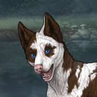 Piebald girl Headshot