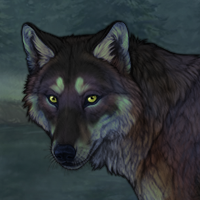 Kelpie Headshot