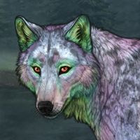 Igor Headshot
