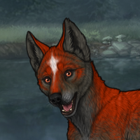 Kiba II Headshot