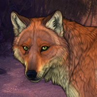 Foxpelt Headshot