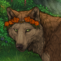 Wolf Headshot