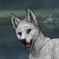 Enclave Puppy Headshot