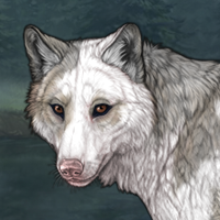 PIEBALD Headshot