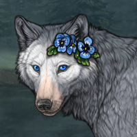 ‧₊˚☾✧Aster♠️₊‿ Headshot