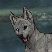 Enclave Pup Headshot