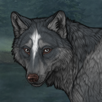 Wolf Headshot