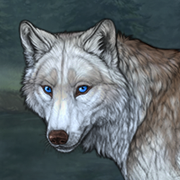 Wolf Headshot