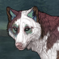 Piebald: Torn M Headshot