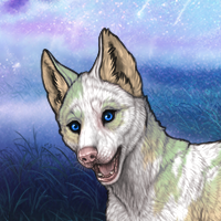 M T1 Piebald: Torn Headshot