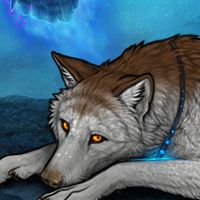 Wolf Headshot