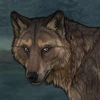 Nasrin Headshot