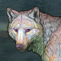 (cip)air Coigreach furs Headshot