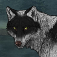 Wolf Headshot