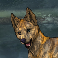 Enclave Pup Headshot