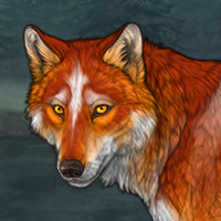 Wolf Headshot