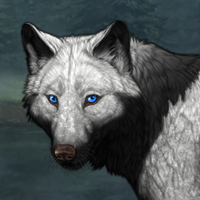 Wolf Headshot