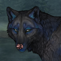 Midnight-Obsidian Headshot