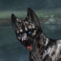 Fawn-5M-Blue Headshot