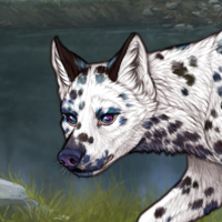 nib g3 Dalmatian Headshot