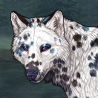 Orion g3 Dalmatian Headshot