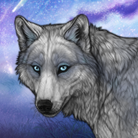 Blue Male Wolf Headshot