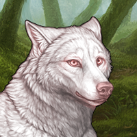 Fergus 🍁 albino Headshot