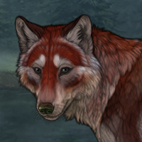 Bloodpelt Headshot