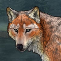 Keyleth of the Air Ashari Headshot