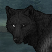 ~The Silent Raven~ Headshot