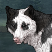 Opal Symphony Headshot