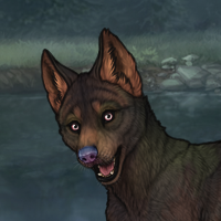 ((Pup))Sell Headshot