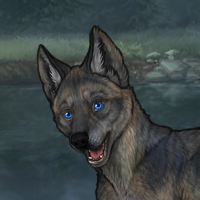 New Puppy str agil Headshot