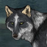 Wolf Headshot