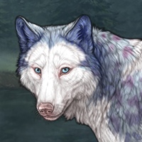 Bluecreek Headshot