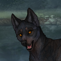 Blueschist Headshot